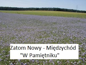 Zatom Nowy